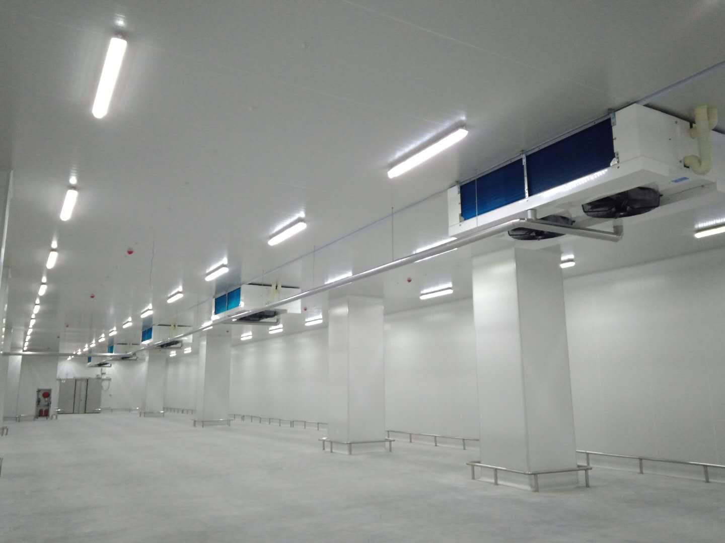 長沙洽洽食品廠建造4000m3堅果產能提升項目冷庫工程案例 長沙洽洽食品廠建造4000m3堅果產能提升項目冷庫工程案例