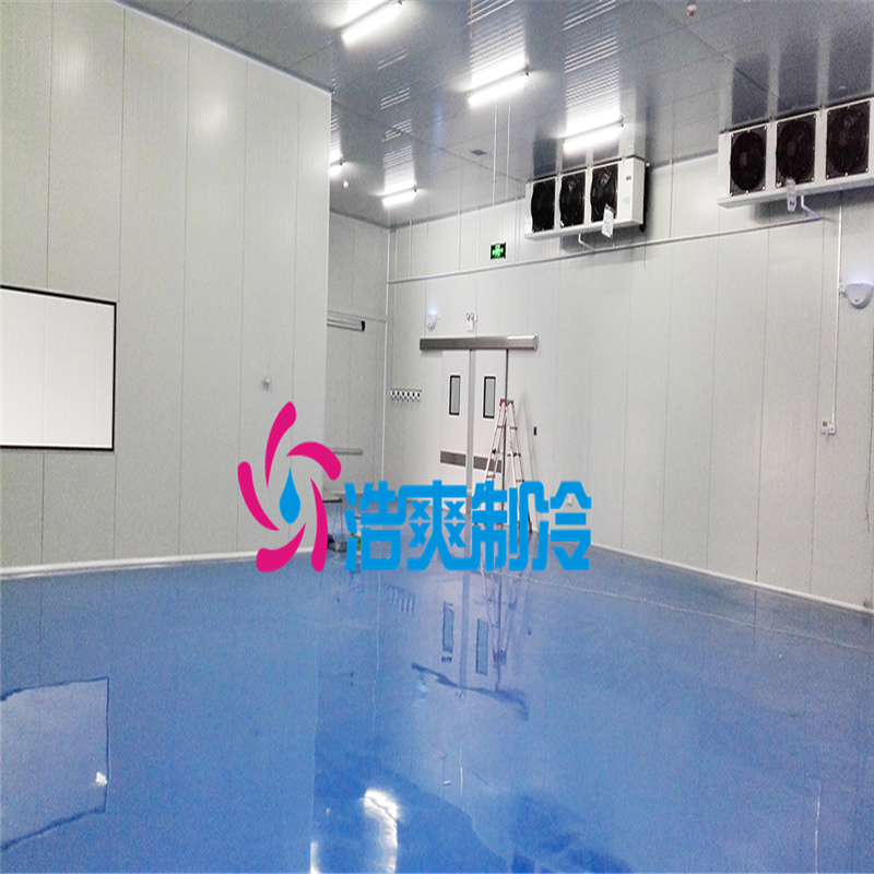 安裝醫(yī)藥專用存儲(chǔ)藥劑冷庫(kù)建設(shè)規(guī)范有哪些？