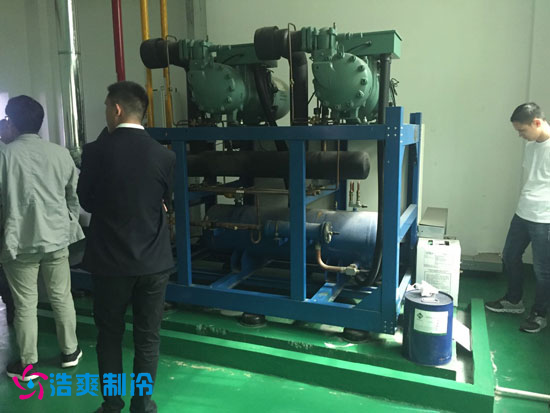 圖為冷庫使用的比澤爾活塞風(fēng)冷并聯(lián)壓縮機組