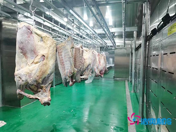 建造一個肉類排酸冷庫安裝造價成本大概多少錢?