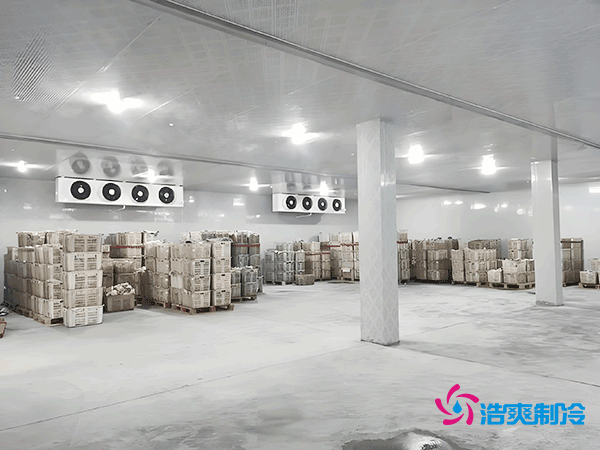 低溫冷凍庫造價指南，如何精準預算冷凍庫建造成本？