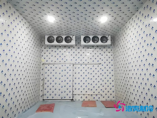 100平方冷凍庫設計安裝造價多少錢？