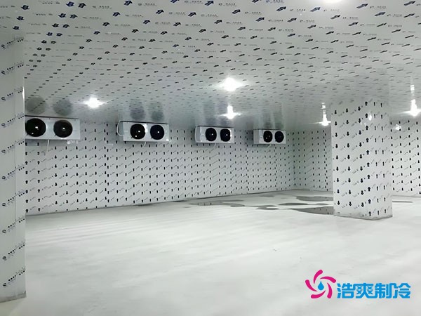 100平方冷凍庫設計安裝造價多少錢？