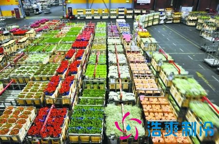 1000立方米鮮花冷庫(kù)