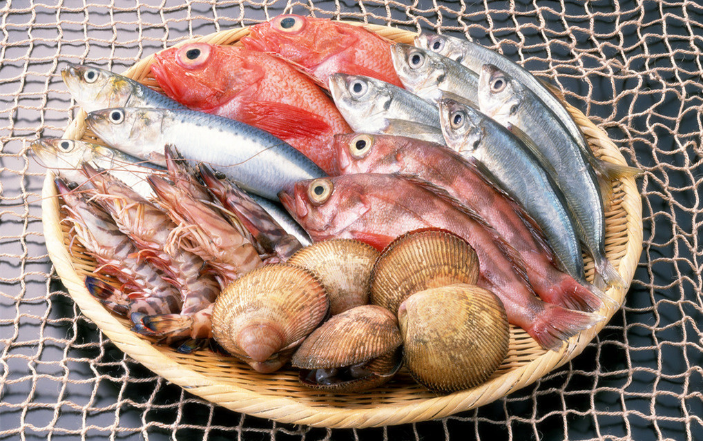冰鮮海鮮冷庫(kù)造價(jià)，5000平方米冷凍庫(kù)總投資多少