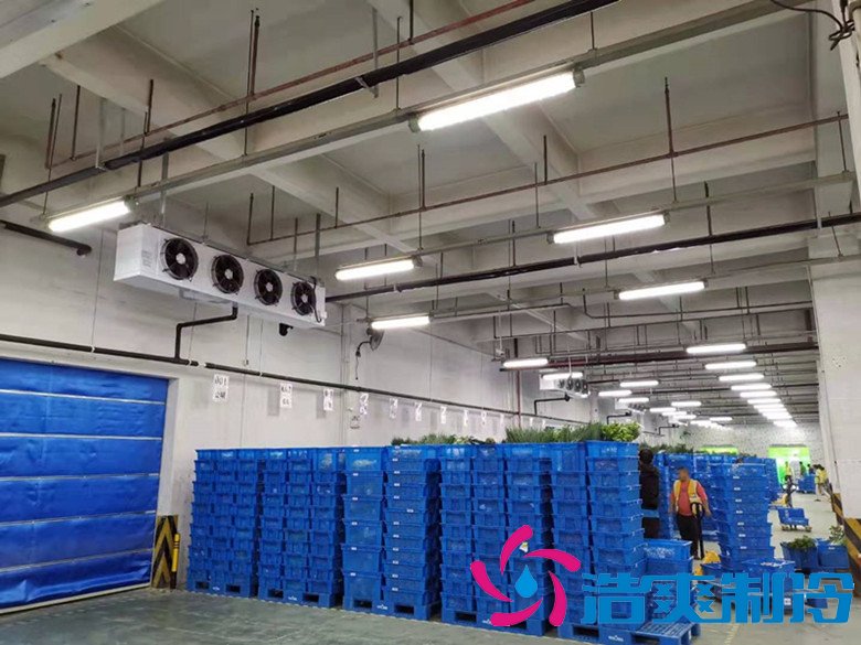 大型生鮮配送冷庫選址及（水產(chǎn)冷凍庫）設(shè)計(jì)方案報(bào)價
