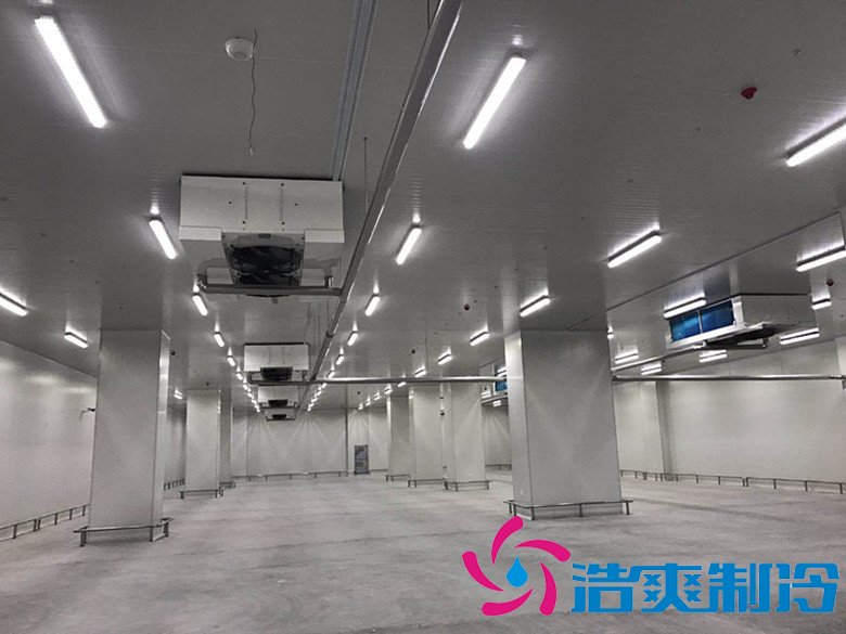 港口冷鏈冷庫市場趨勢和現(xiàn)狀，萬噸港口冷鏈低溫倉儲造價預算