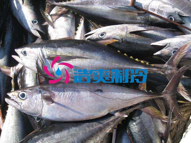浩爽制冷，海鮮冷凍庫(kù)