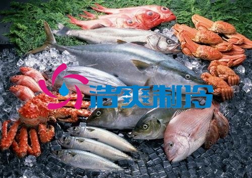 浩爽制冷，海鮮冷凍庫、食品冷凍庫